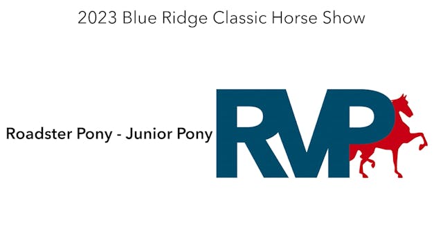 BR23 - Class 195 - Roadster Pony - Ju...