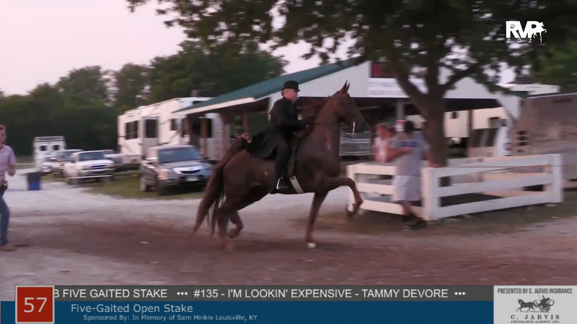 SHS21 - Class 57 -  Five Gaited Stake
