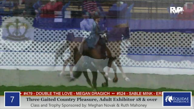 2020 AR - Class 7 Three Gaited Countr...