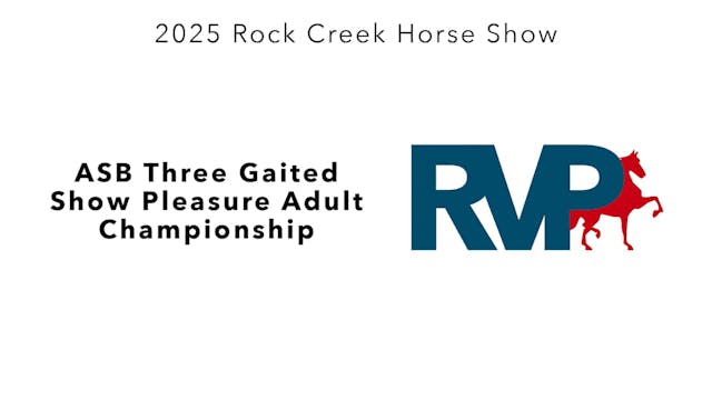 RC25 - Class 96 - ASB Three Gaited Sh...