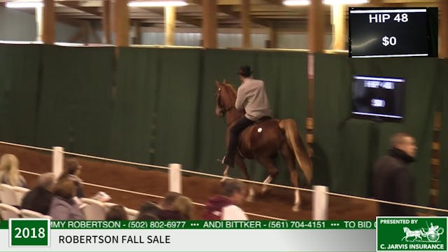 2018 Robertson Fall Sale - Friday Par...