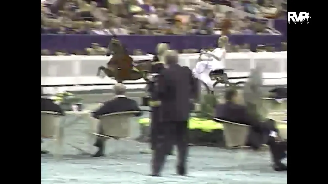 1999 WCHS - Class 219 Harness Pony Grand Championship - 1999 ...