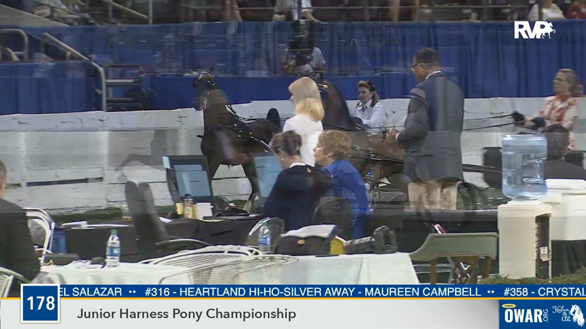 2019 WCHS - Class 178 Junior Harness Pony Championship