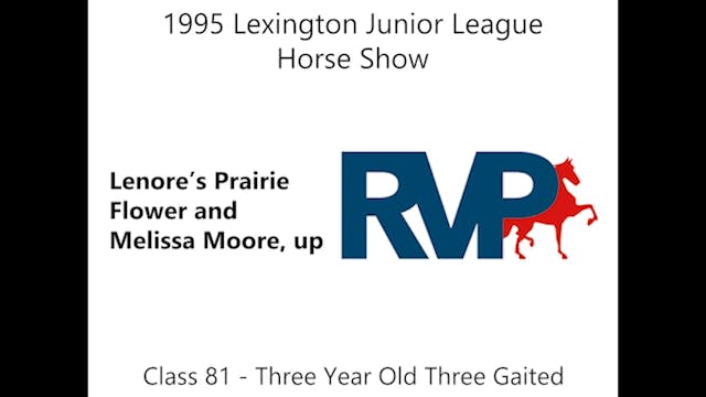 LJL 1995 - Class 81 - Three Year Old ...