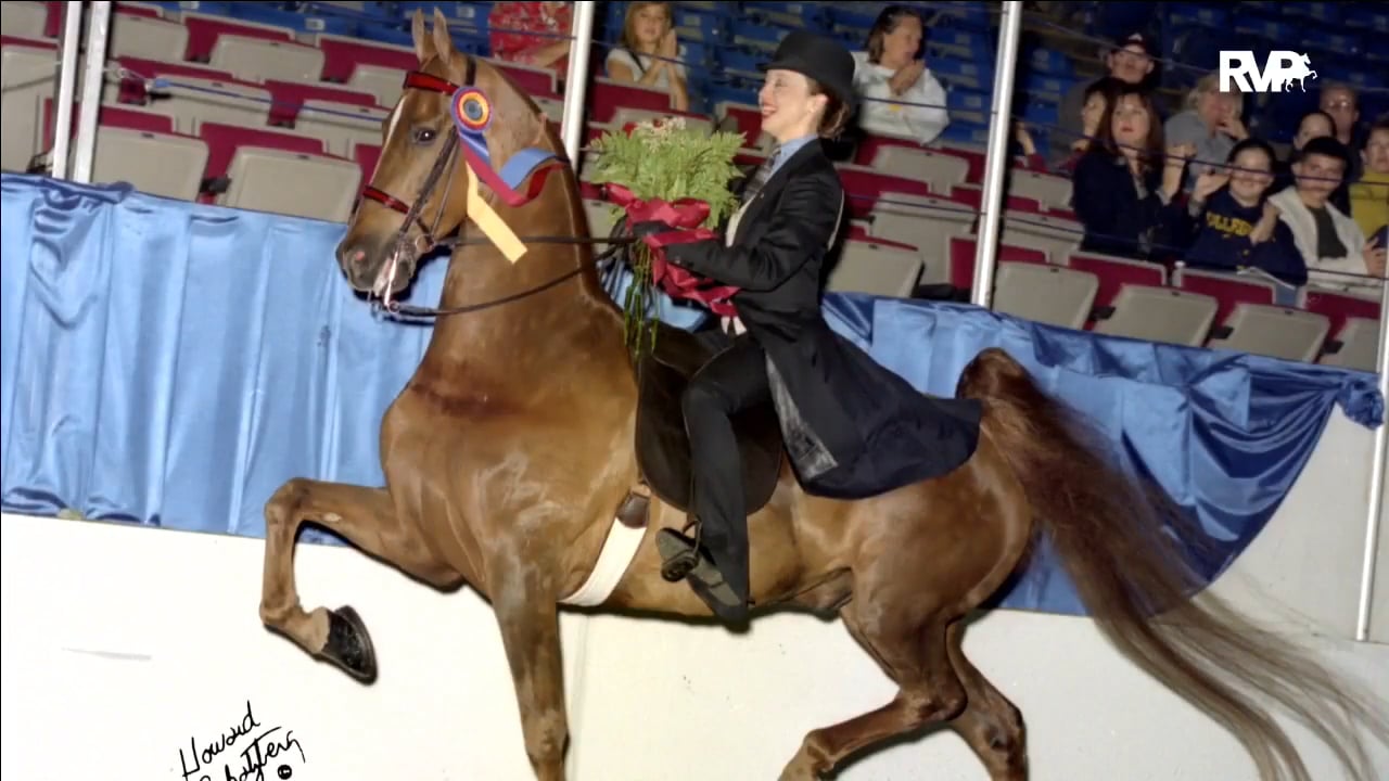 ALCB17 - Wednesday Evening