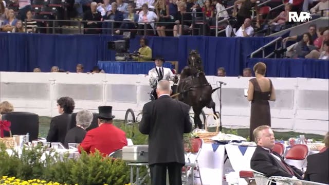 2012 WCHS - Class 56 Amateur Gentleme...