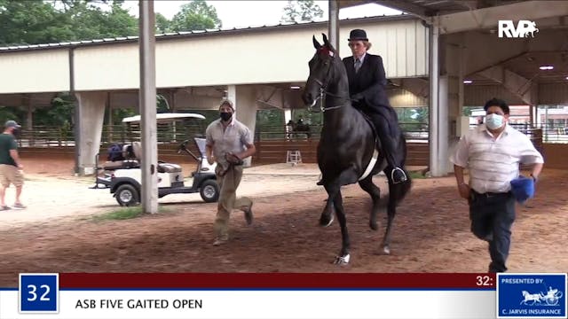 2020 BR - Class 32 ASB Five Gaited Open