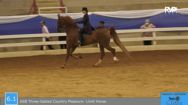 BR21 - Class 6.1 - ASB Three Gaited C...