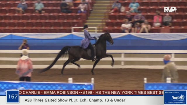 2020 BR - Class 167 ASB Three Gaited ...