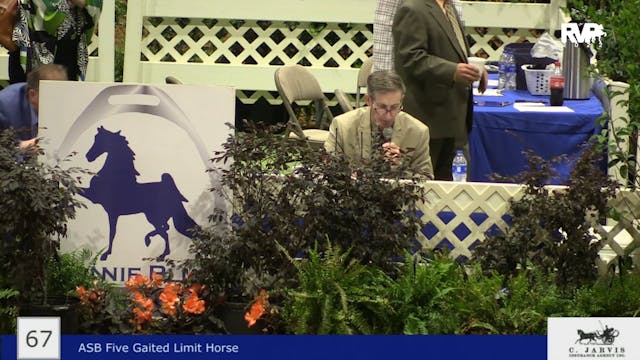 BB22 - Class 67 -  ASB Five Gaited Li...
