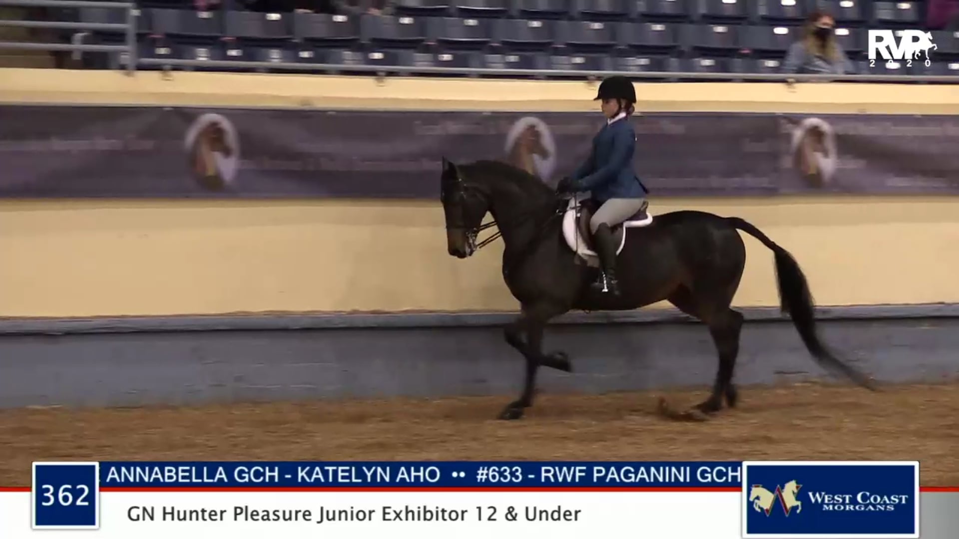 2020 MGN - 362 GN Hunter Pleasure Junior Exhibitor