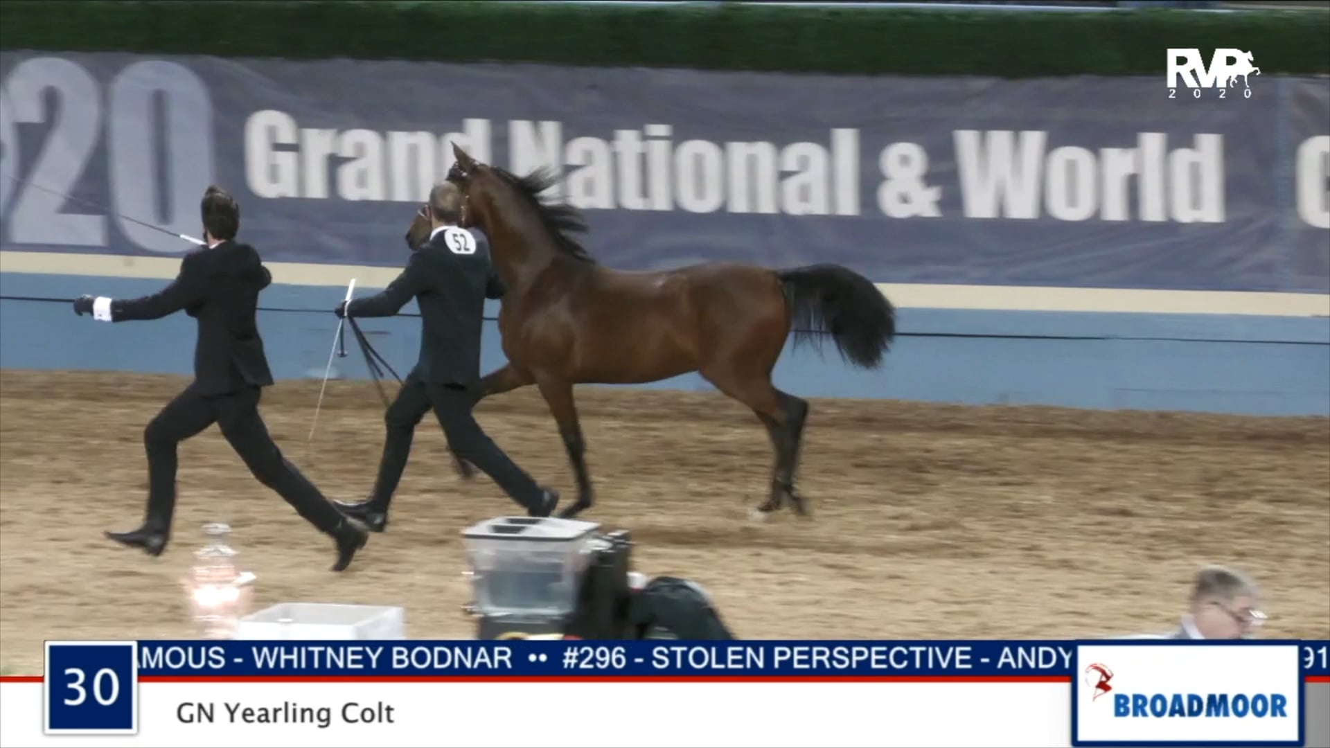 2020 MGN - Class 30 GN Yearling Colt