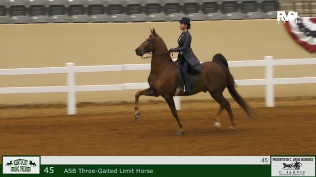 KYSP24 - Class 45 - ASB Three Gaited ...