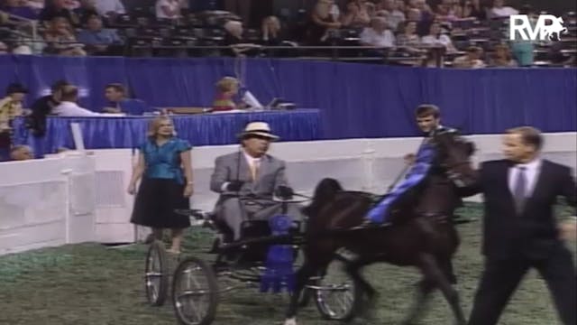 2007 WCHS Class 143 Hackney Pony Stal...