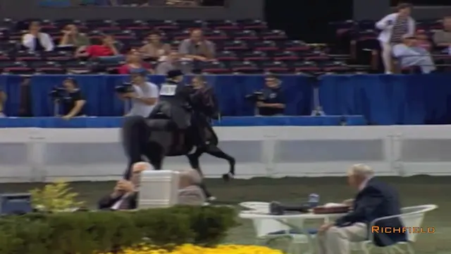 2002 WCHS Class 160 Junior Exhibitor ...