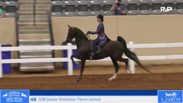 KYSP26 - Class 48 - ASB Jr Exhibitor ...