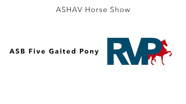 ASHAV23 - Class 47 - ASB Five Gaited ...