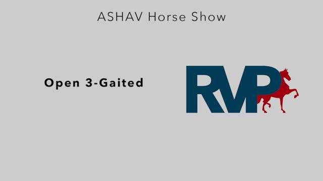 ASHAV23 - Class 12 - Open 3-Gaited