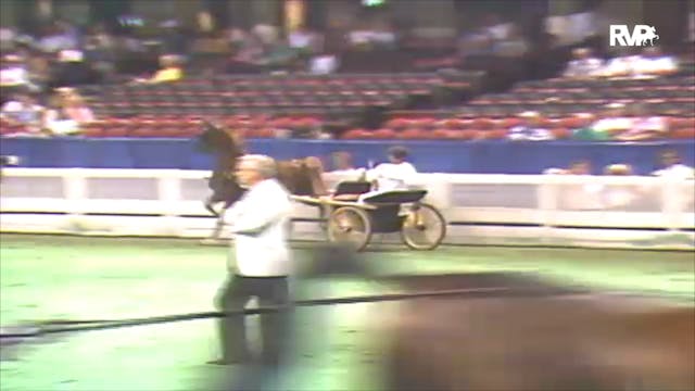 1992 WCHS Class 108 ASB Pleasure Driv...