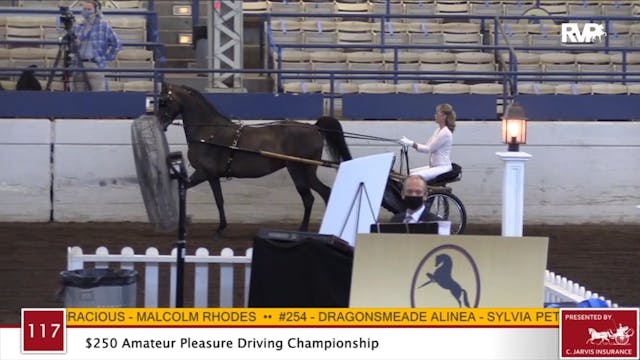 2020 JMHS - Class 117 $250 Amateur Pl...
