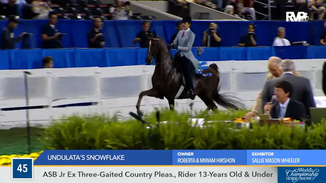 WCHS16 - Undulata's Snowflake 