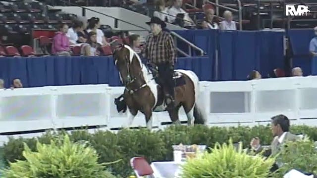 2010 World's Championship Horse Show ...