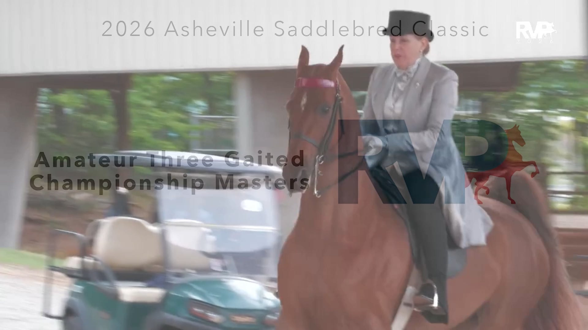 ASC26 - Class 112 - Amateur Three Gaited Championship Masters
