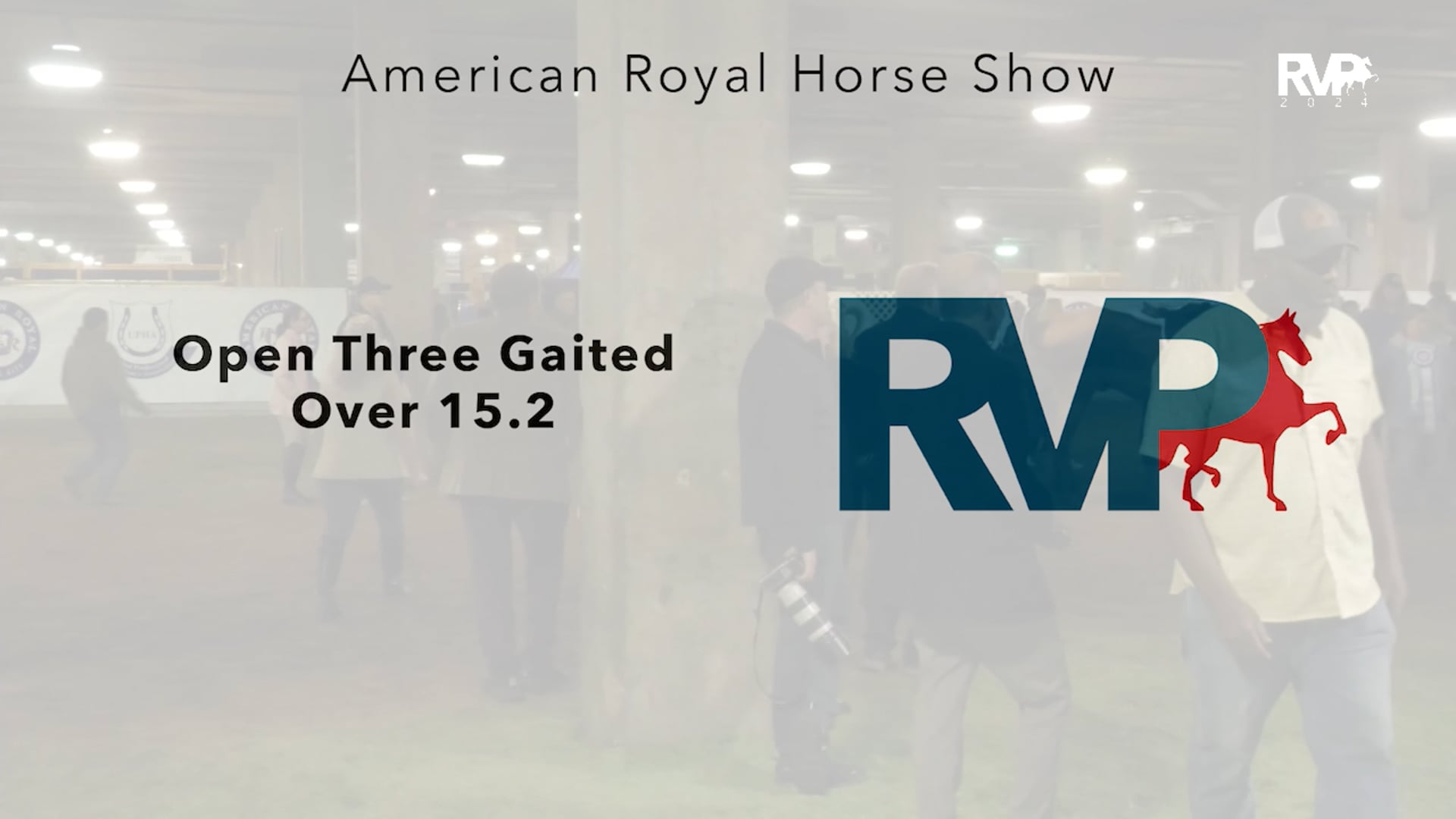 AR24 - Class 23 - Open Three Gaited Over 15.2