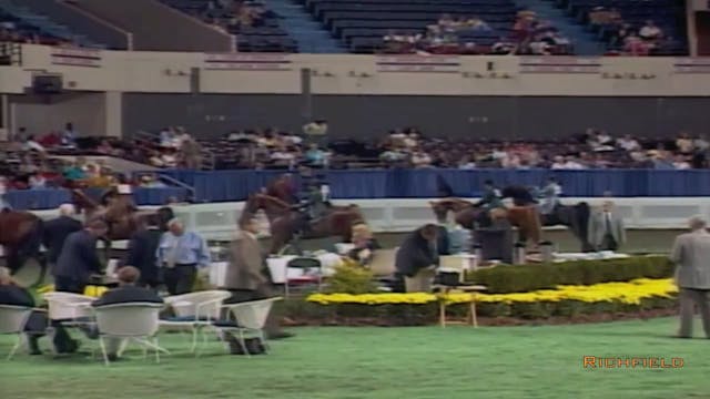 2002 WCHS Class 32 Junior Exhibitor F...