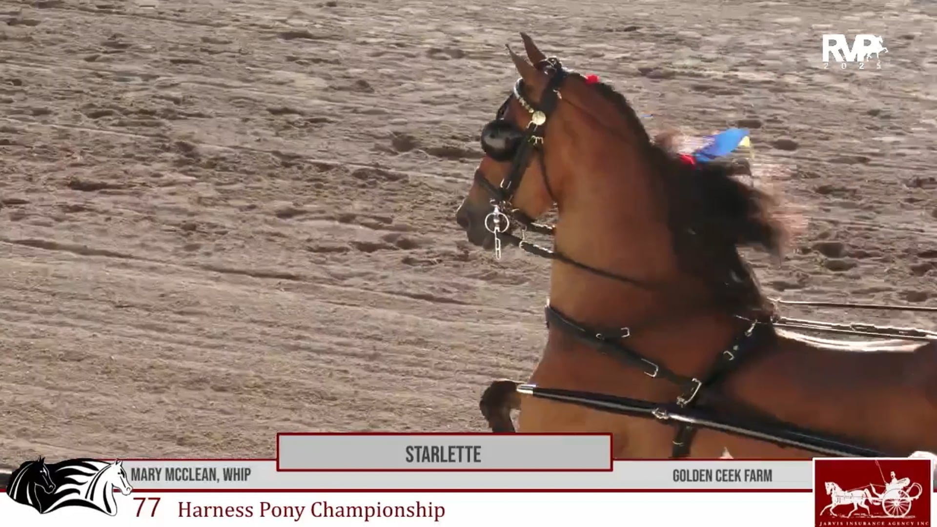 MCF25 - Class 77 - Starlette and Mary McClean, Whip