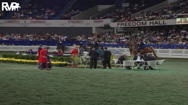 2004 World's Championship Horse Show ...