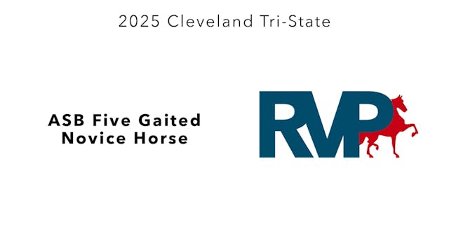 CTS25 - Class 87 - ASB Five Gaited No...