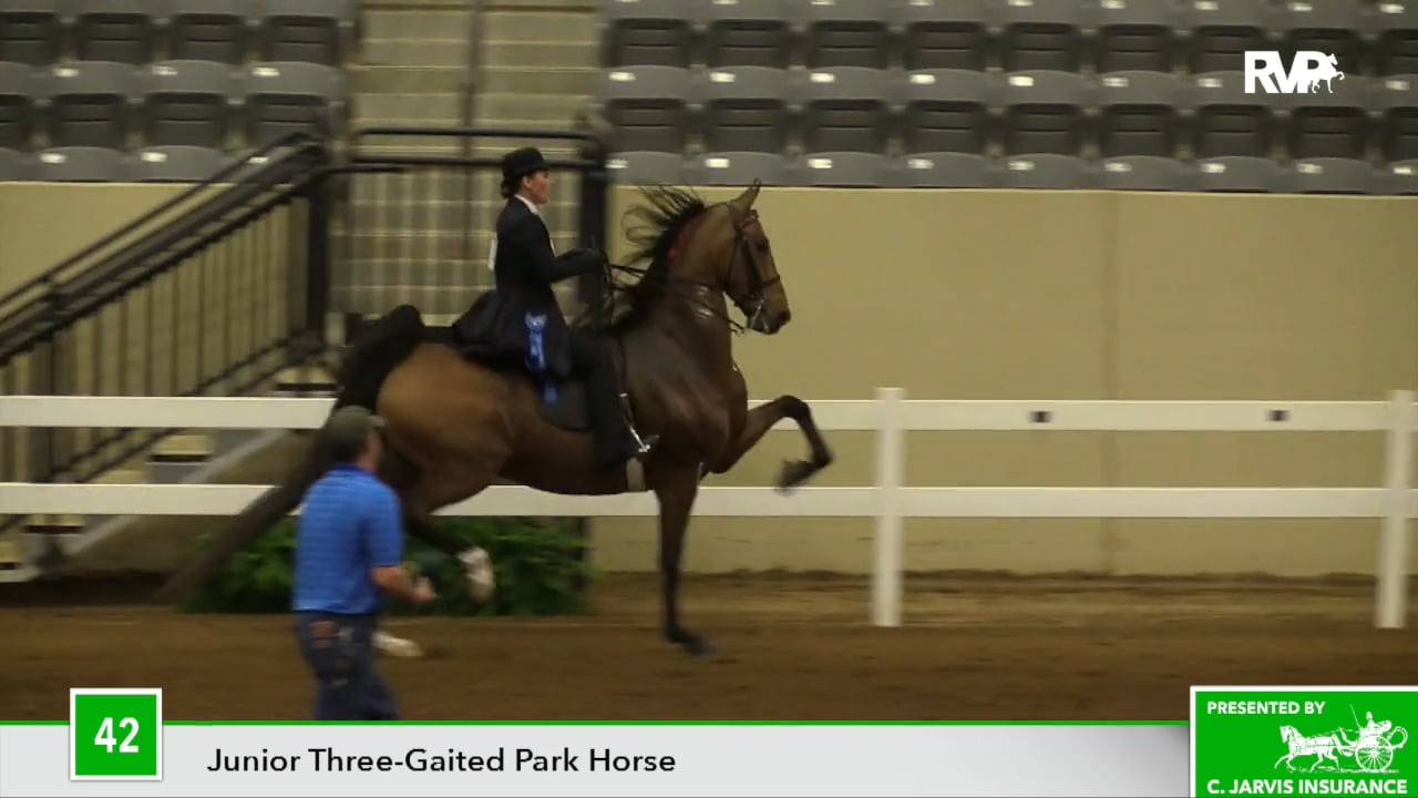 KYSP18 Class 42 I'm A Star Boy