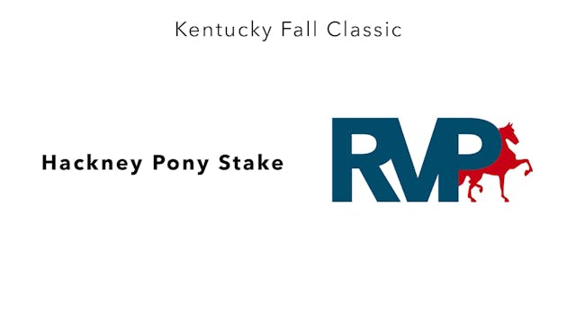 KFC24 - Class 101 - Hackney Pony Stake