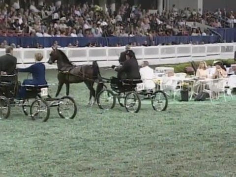 2008 WCHS Class 198 Amateur Harness P...