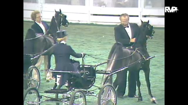1988 WCHS Class 153 Harness Pony Cham...