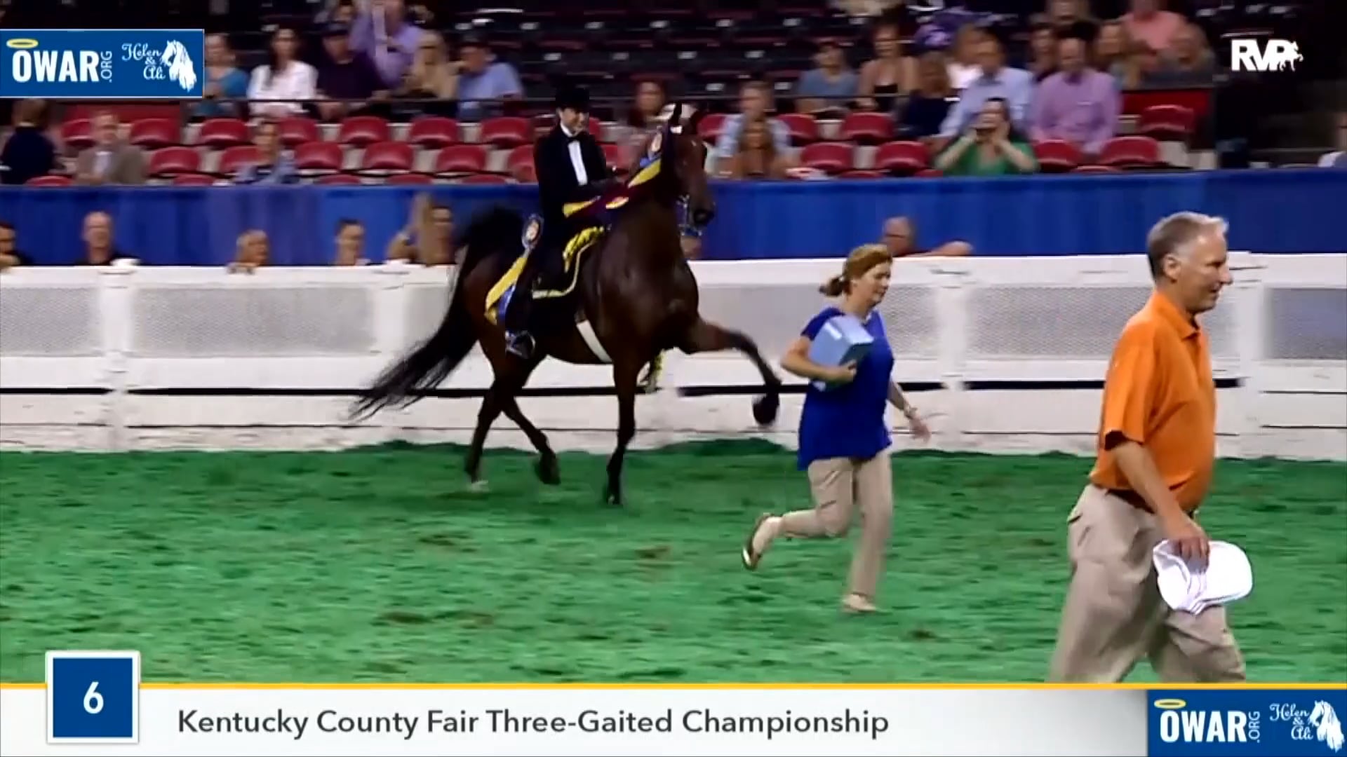 Tammie Conatser - Sallie B. Wheeler Distinguished Service Award