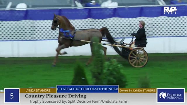 2020 American Royal - Tuesday Evening...
