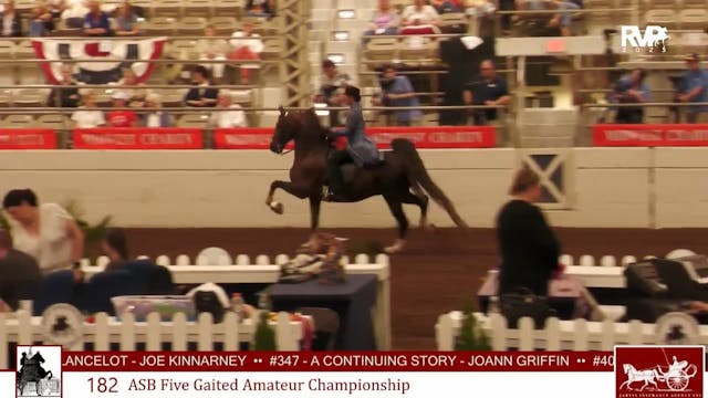 MW25 - Class 182 - ASB Five Gaited Am...