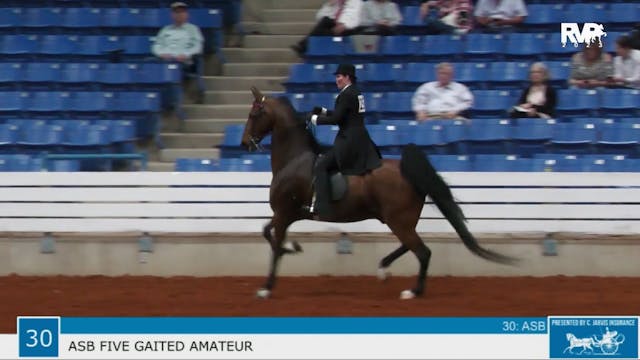 SSSF23 - Class 30 - ASB Five Gaited A...