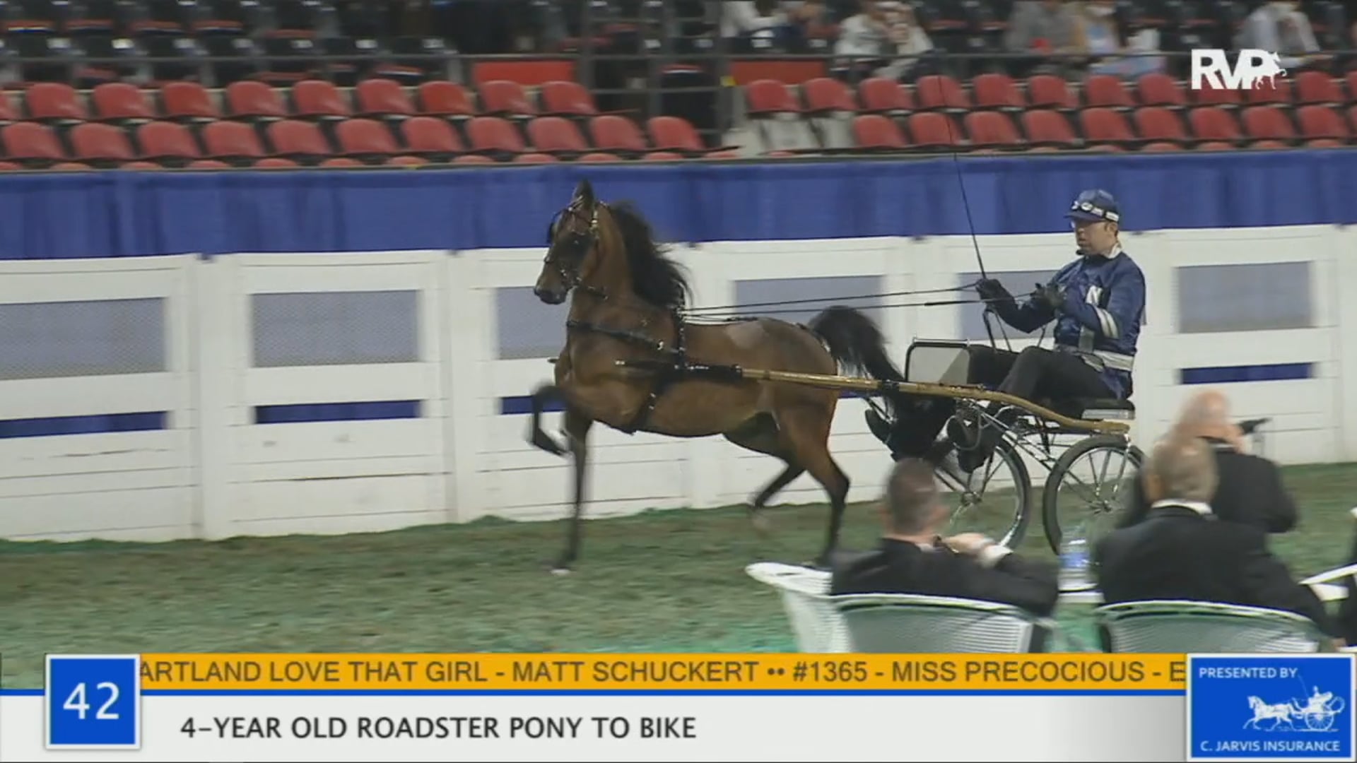 WCHS 2020 Class 42 - 4-Year Old Roadster to Pony