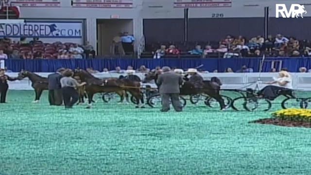 2009 World's Championship Horse Show ...