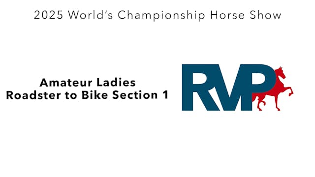 WCHS25 - Class 138 - Amateur Ladies R...