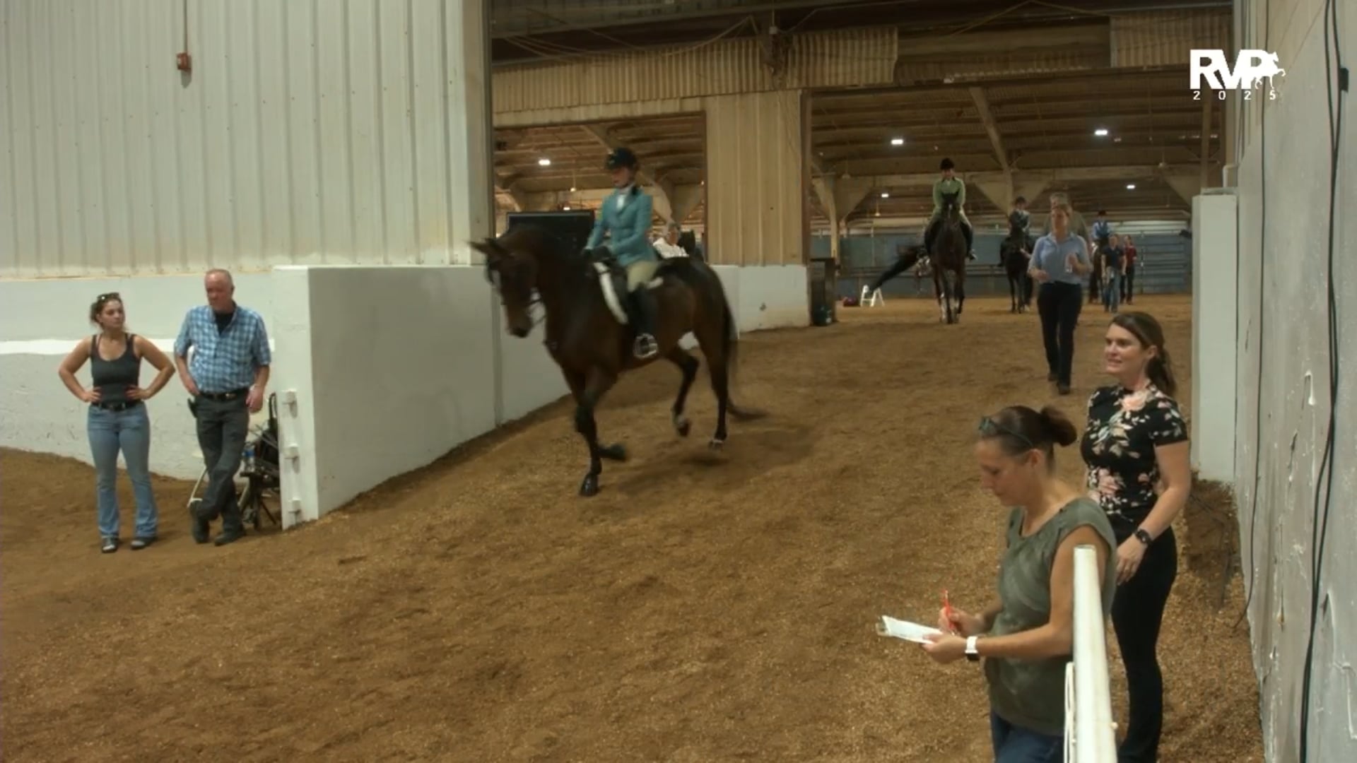 MGN25 - Class 376 - GN Hunter Pleasure Jr Exhibitor 16