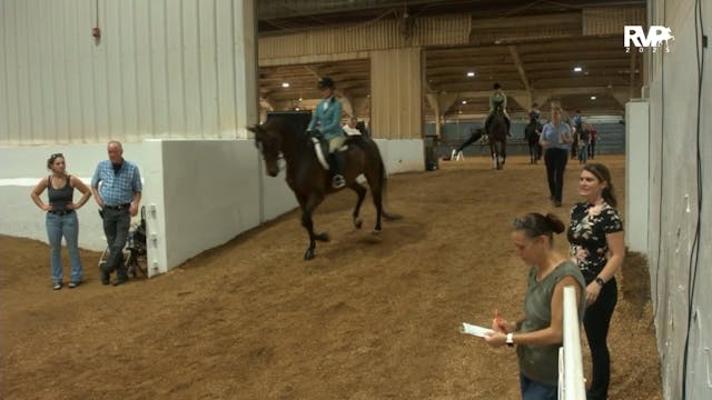 MGN25 - Class 376 - GN Hunter Pleasur...