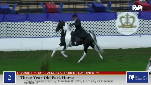 2020 AR - Class 2 Three Year Old Park...