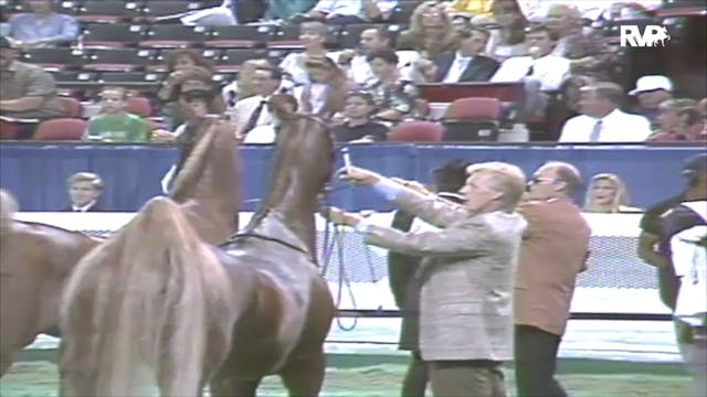 1991 WCHS Class 143 Amateur Three Gai...