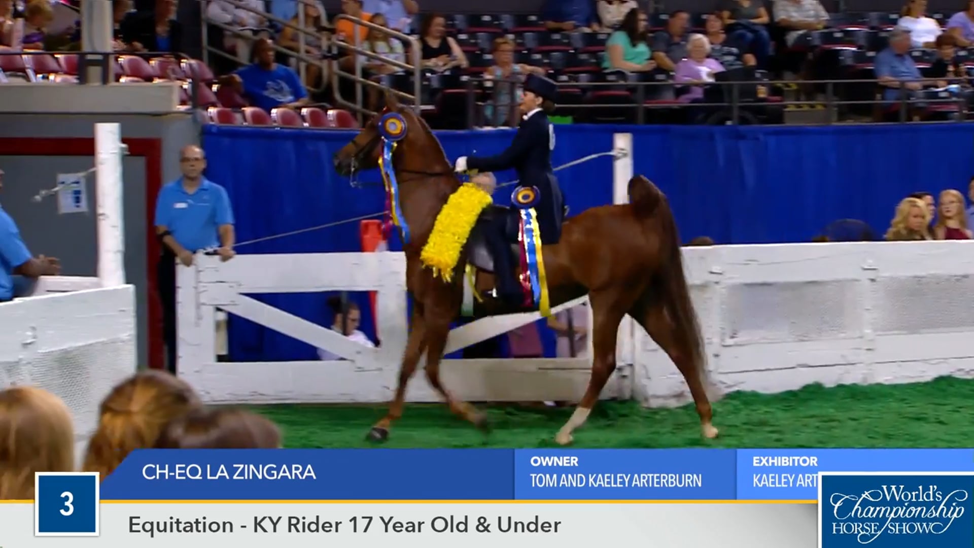 WCHS16 - CH EQ La Zingara 