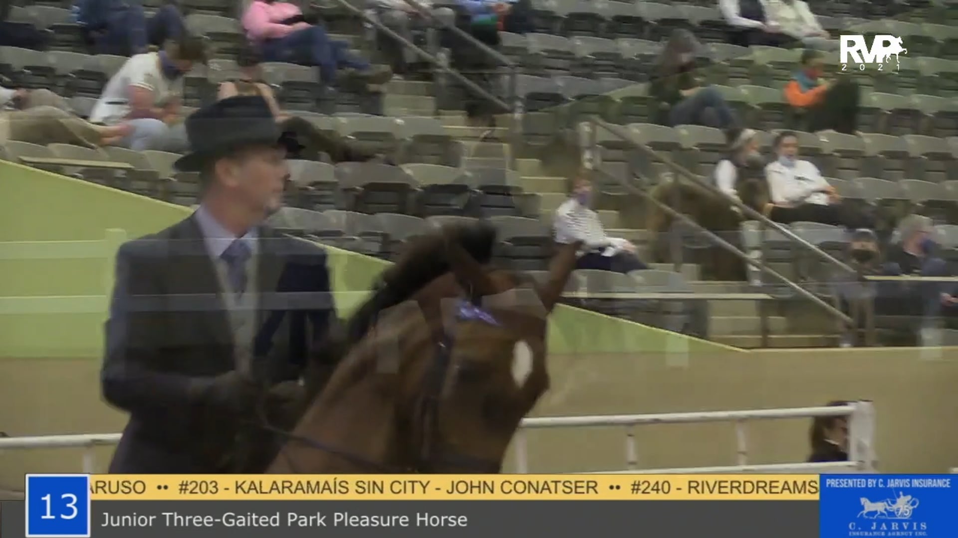 KYPS21 - Class 13 - Three Gaitec Park Pleasure Junior Horse