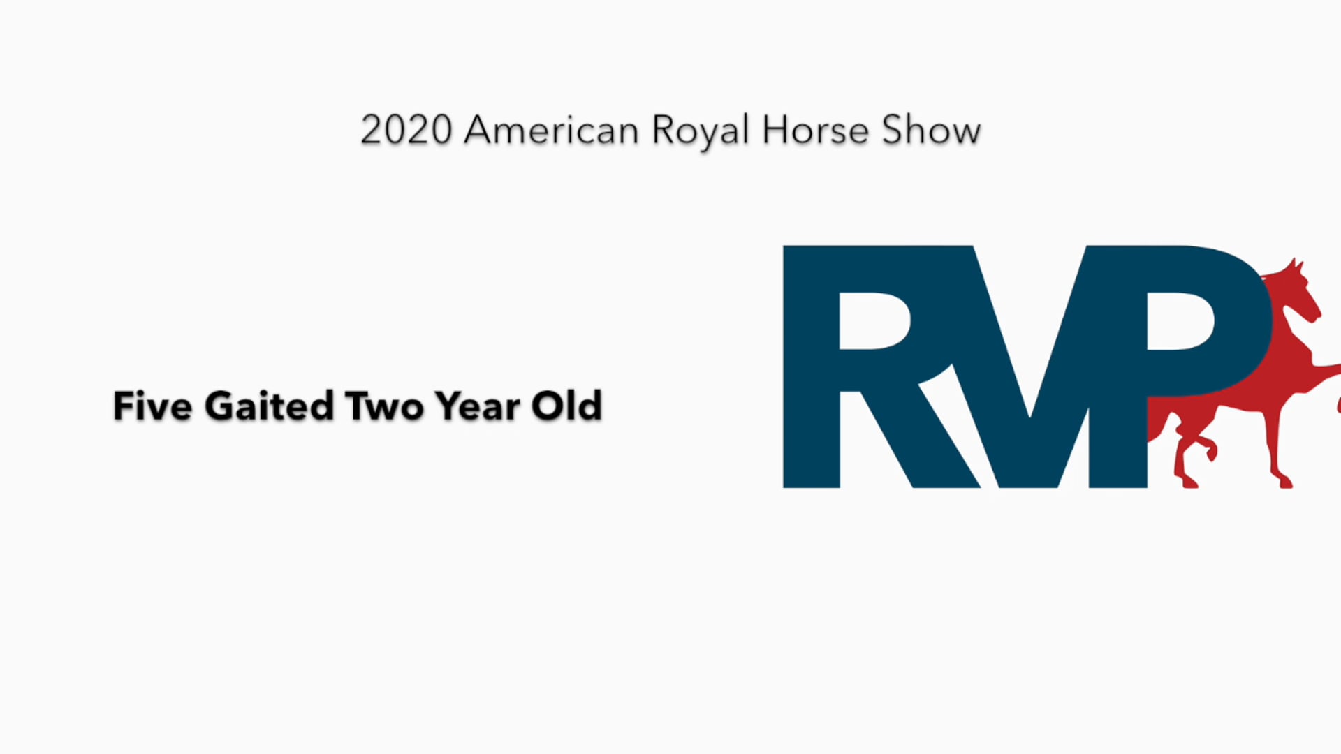 2020 AR - Class 52 Five Gaited Two Year Old